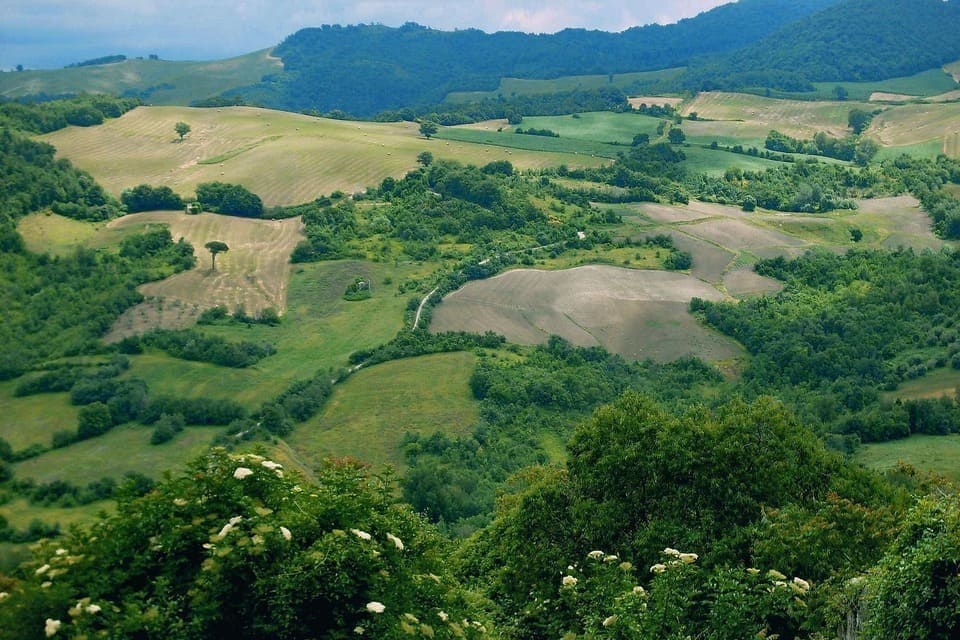 i traslochi Molise